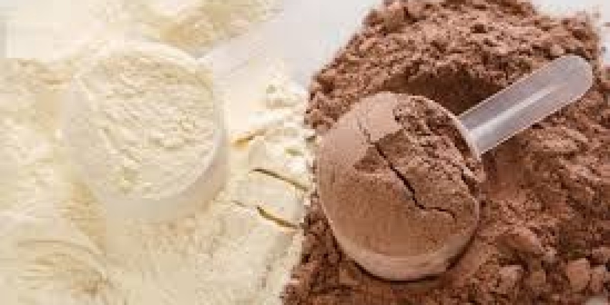 Vegan Protein Powder Market: Forecasting Future Growth and Strategic Potential