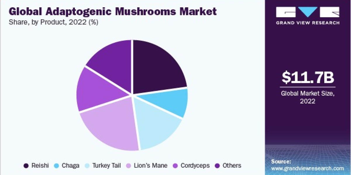 Adaptogenic Mushrooms Market Competitive Landscape and Strategic Developments