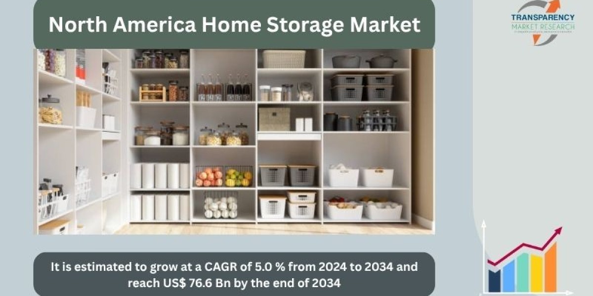 Sustainable and Smart Storage Solutions in the North America Home Storage Market