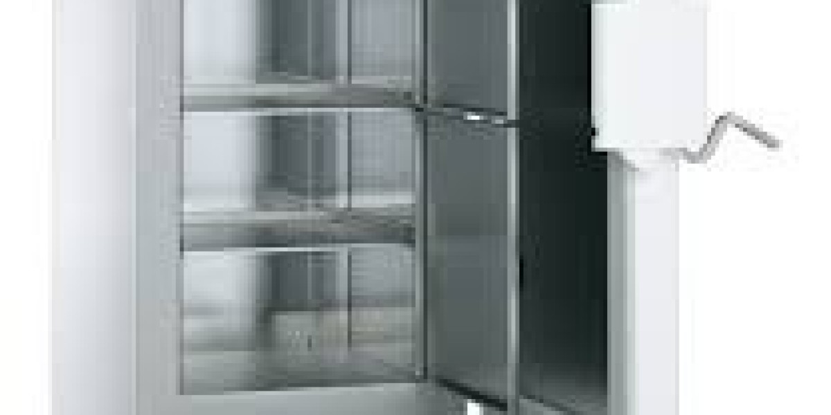Ultra-low Temperature Freezer Market Dynamics: Investment Opportunities in Emerging Markets and Developing Economies