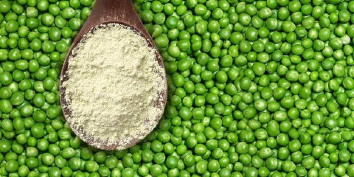 Pea Protein Powder Manufacturing Plant Setup Cost- Detailed Project Report