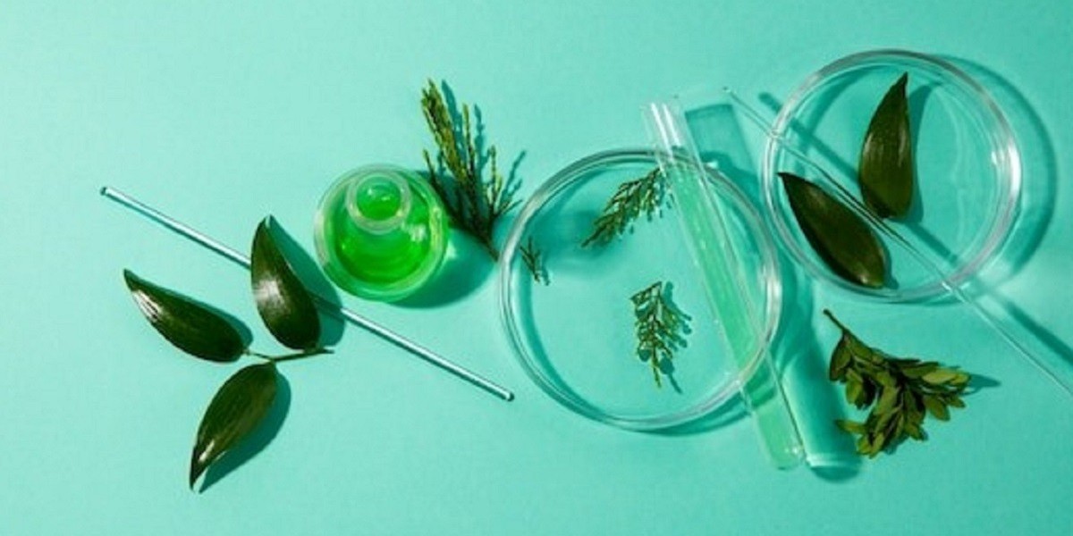 Beverage Botanical Extracts Market Strategic Analysis: Competitive Landscape and Key Player Innovations