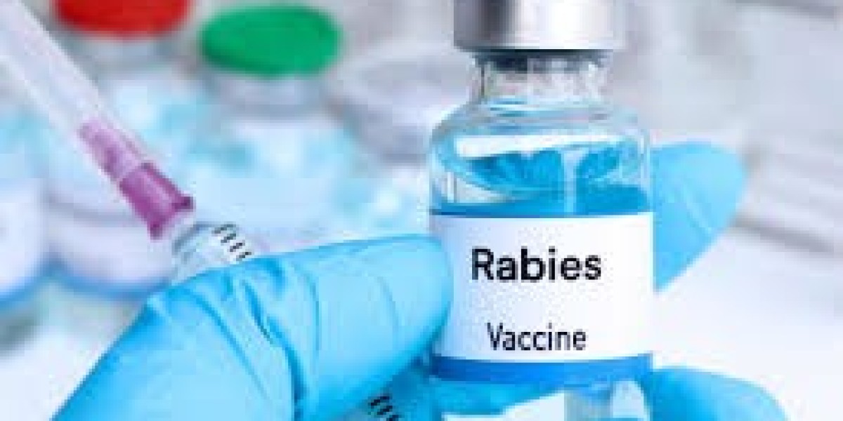 Human Rabies Vaccines Market Forecast Indicates Steady Growth and Global Expansion