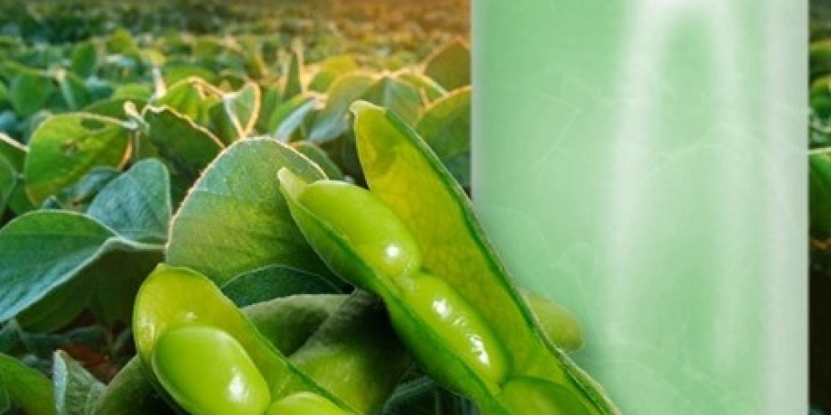 Renewable Natural Ester Insulating Oil Market: Driving Sustainability in Power Systems
