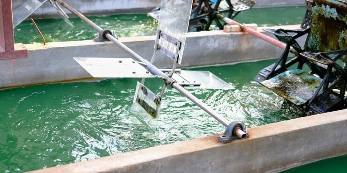 Fish Pumps Market Outlook 2025: Enhancing Efficiency in Aquaculture and Fisheries
