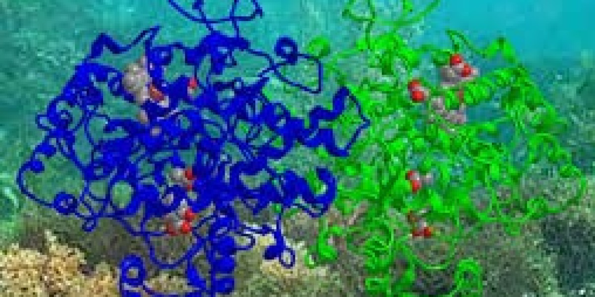 Marine Enzymes Market Dynamics: Analyzing Growth Drivers and Emerging Challenges