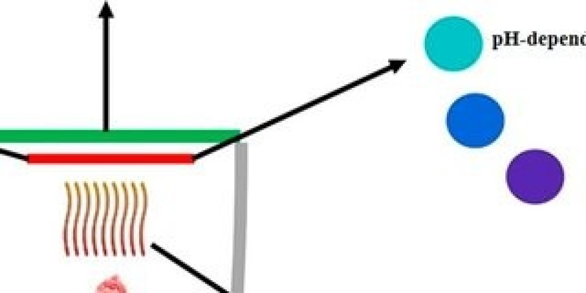 Colorimetric Indicator Label Market key challenges and opportunities in packaging industries