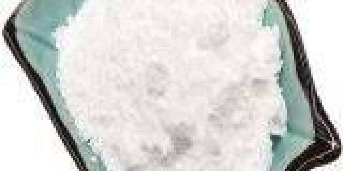 Nicotinic Acid Market policy regulations and environmental impacts affecting global supply chain growth