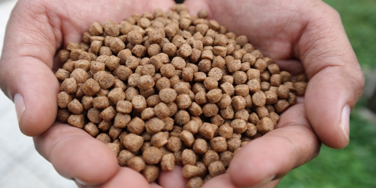 Global Fish Feed Market: Trends, Growth & Future Outlook