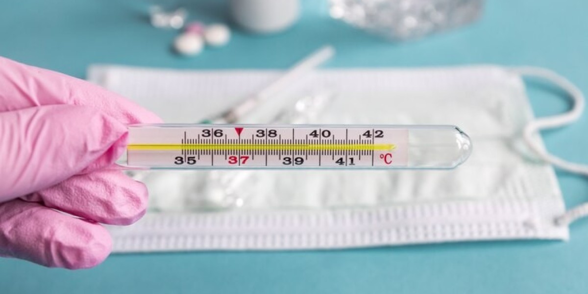 Clinical Thermometry Market Dynamic Evolution Driven by Digital Integration and Healthcare Demand