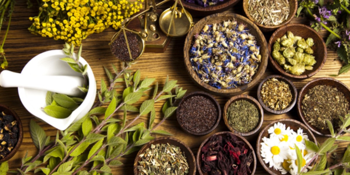 From Farm to Formula: Ensuring Ethical Practices in Ayurveda Production