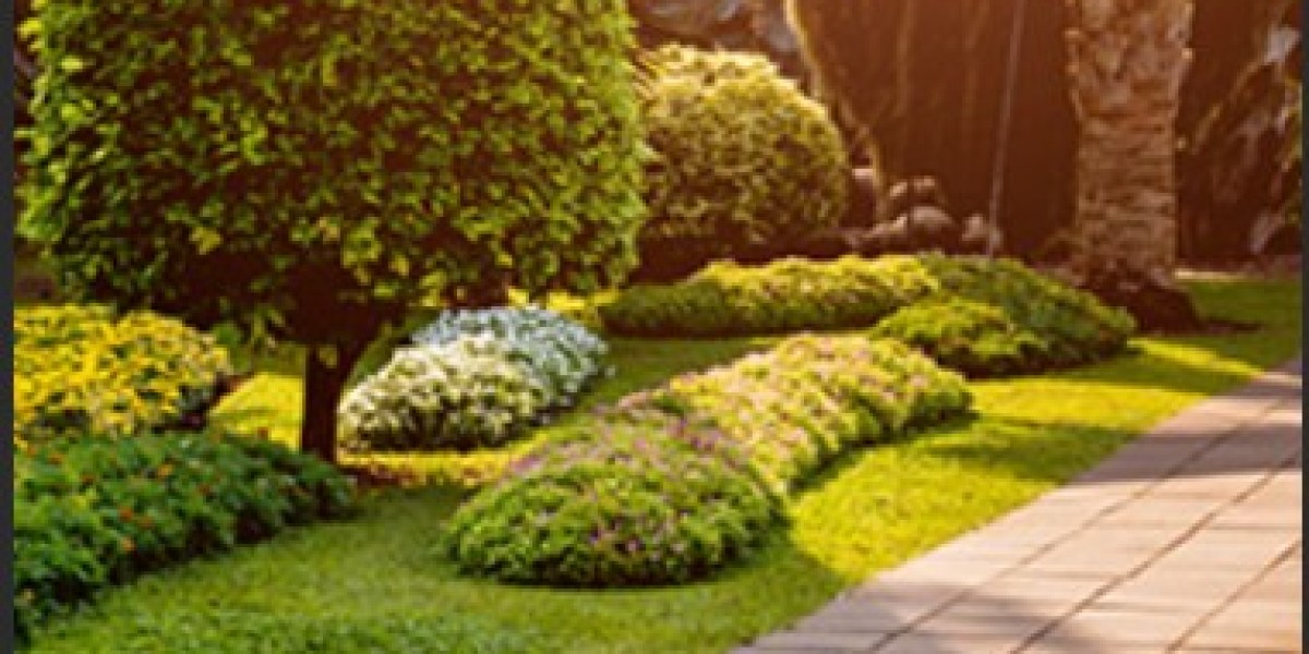 Top Landscaping Ocala Services – Compare & Save Today