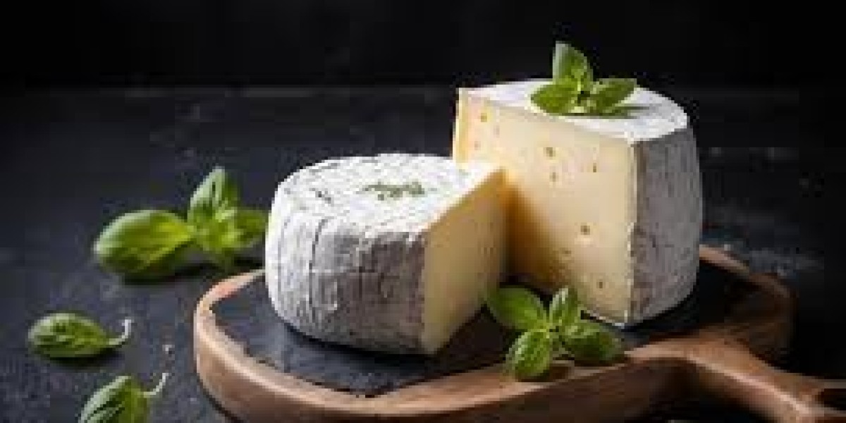 Plant-based Cheese Market Premiumization Trend Attracting Eco-Conscious Urban Consumers