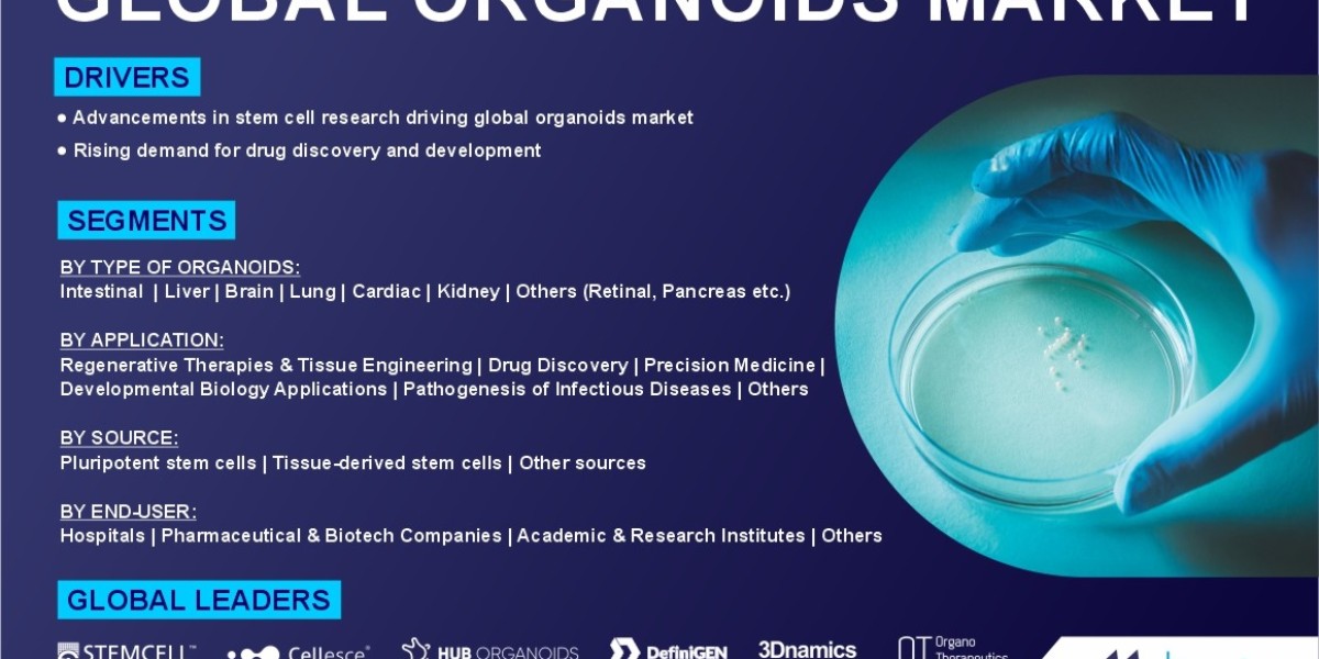 Growing Biomedical Research Spurs Organoids Market Growth