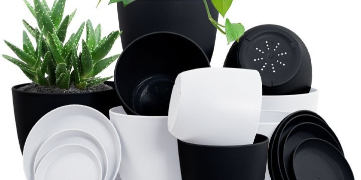 Premium Planters: Stylish and Durable Solutions for Modern Green Spaces