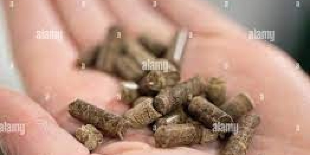 Insect-based Fertilizer Market witnessing boost from rising eco-label product demand
