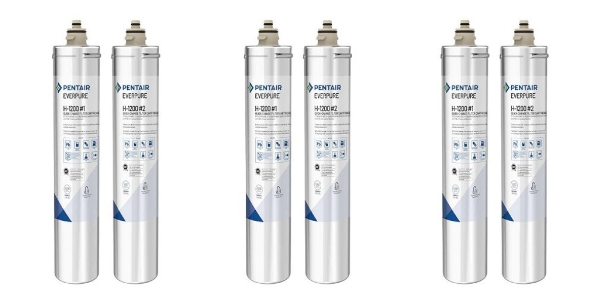 Do I Really Need to Change My Everpure Filter Cartridge Every Year?