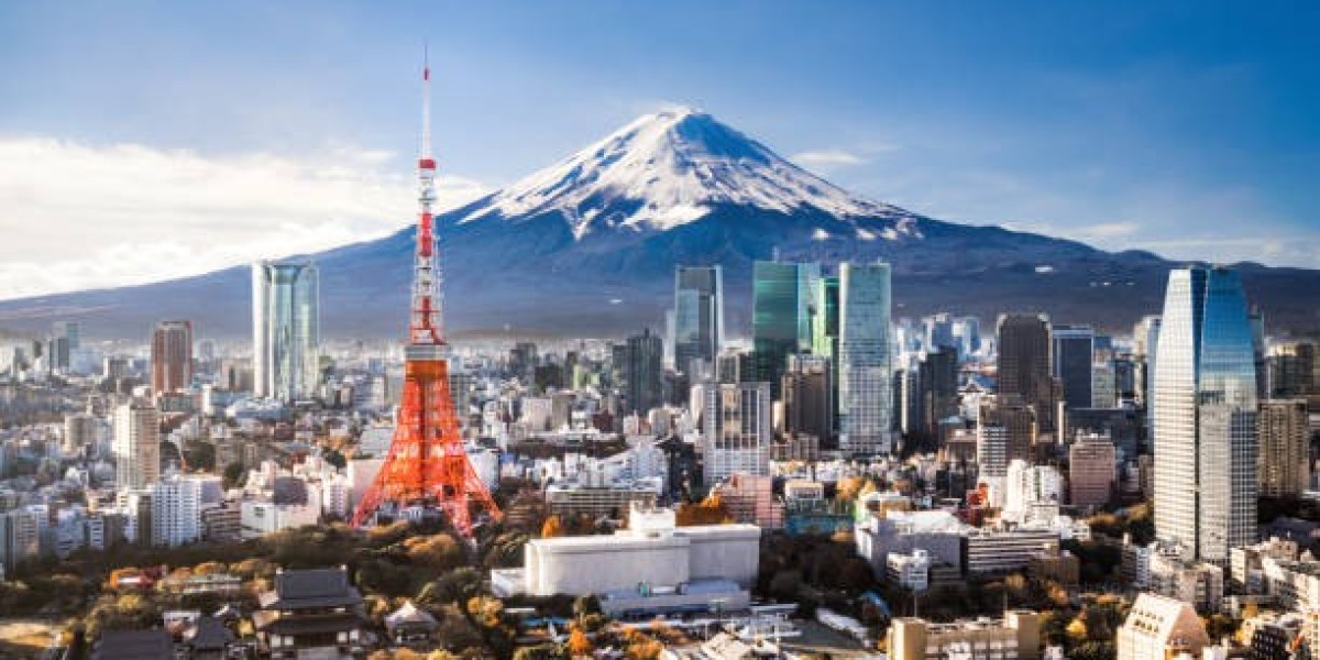 Kyoto Tours for Nature Lovers, History Buffs, and Foodies Alike