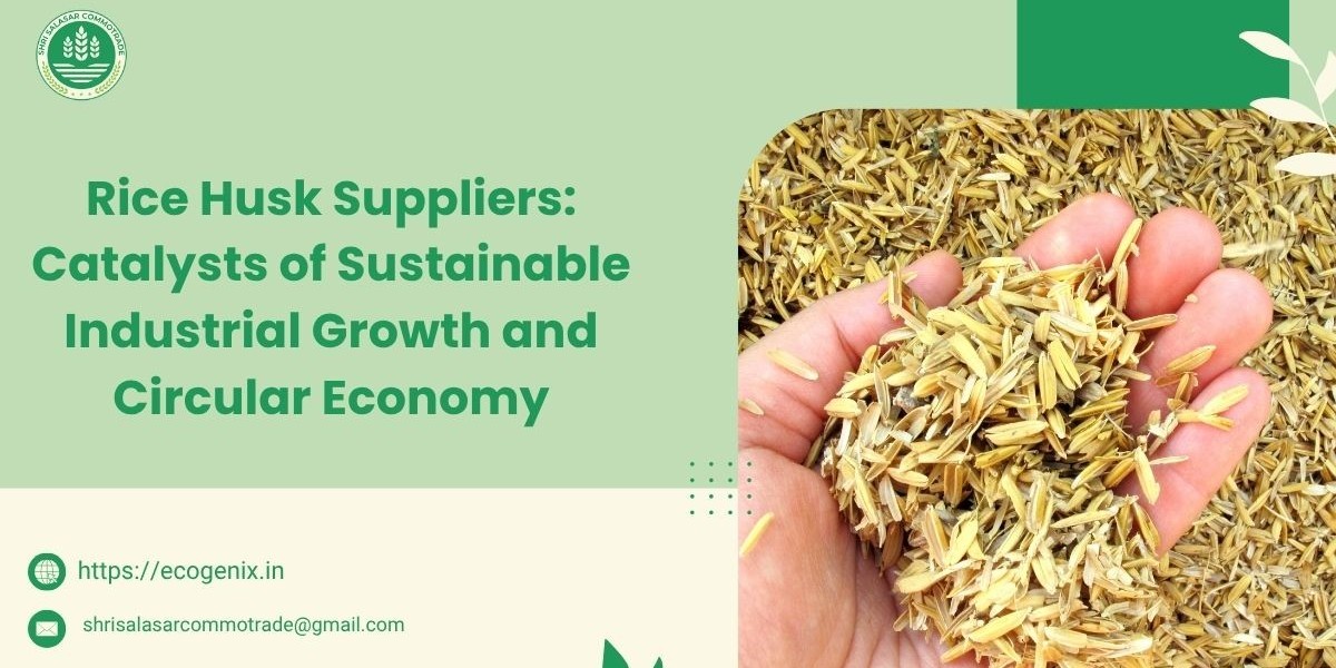 Rice Husk Suppliers: Catalysts of Sustainable Industrial Growth and Circular Economy