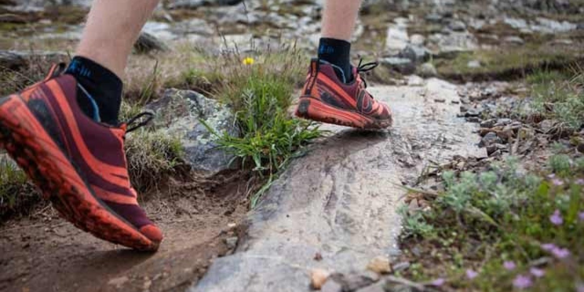 Trail Running Shoes Market Must Tackle Technological Cannibalization and Fragmented Brand Competition