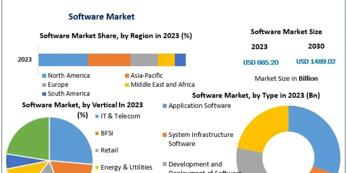 United States Continues to Lead in AI and Cloud Software Innovations