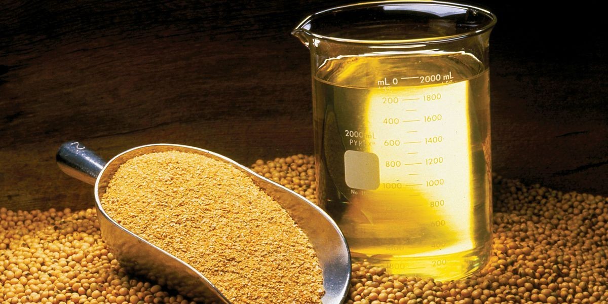 Rapeseed Meal Market Expected to Grow Steadily with Changing Livestock Feed Preferences Worldwide