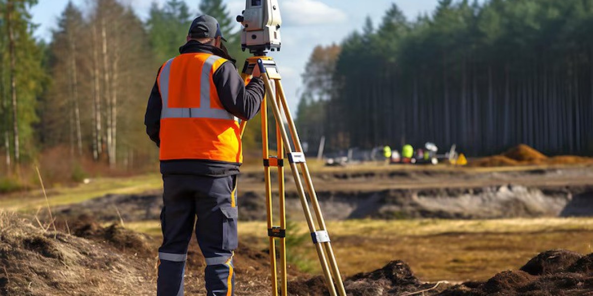 Professional Property Surveyors