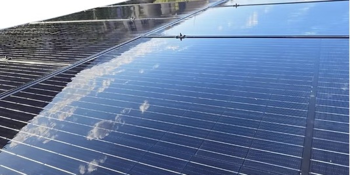 Cheetah Solar Panel Cleaning and Pigeon Proofing Services – Protect Your Panels and Property