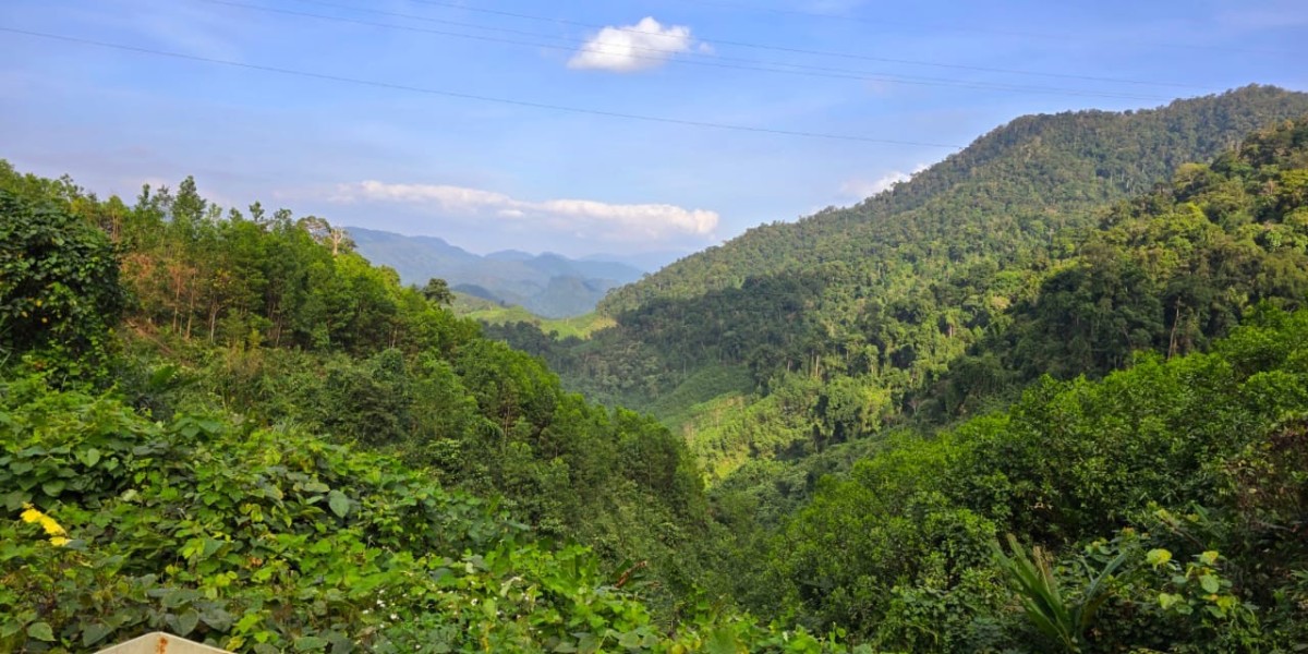 Journey Through Vietnam: 15 Fascinating Facts and Destinations