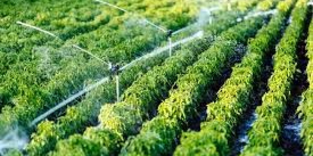 Top Growth Drivers of the Global Drip Irrigation Market and Industry Forecast 2021–2030