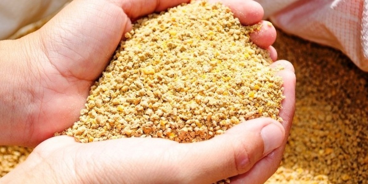 Feed Enzymes Market Dynamics: Key Drivers, Challenges, and Future Growth Opportunities Worldwide