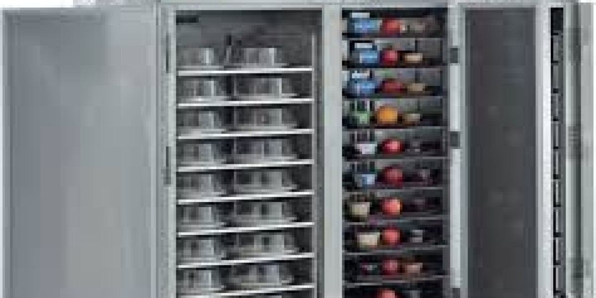 Meal Delivery Carts and Racks Market Dynamics Influencing Global Growth Trajectory