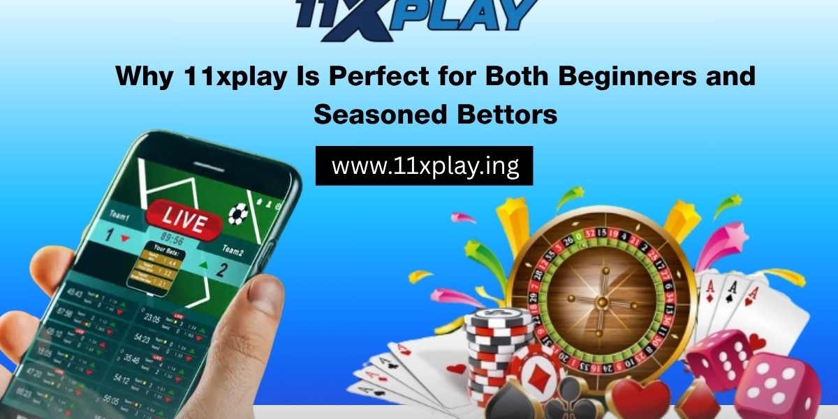 Why 11xplay Is Perfect for Both Beginners and Seasoned Bettors