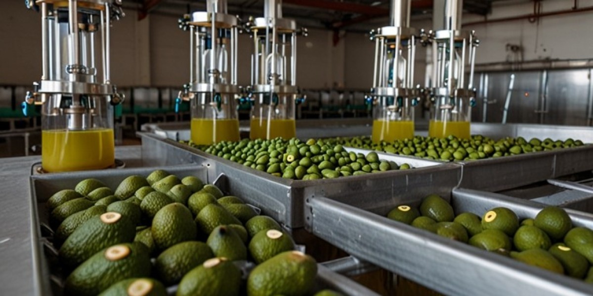  Avocado Oil Processing Plant Report 2025: Industry Trends, Business Plan, Cost and Revenue