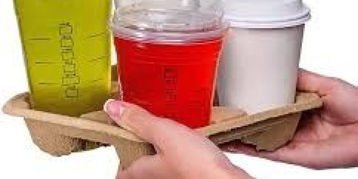 Beverage Carrier Market investment opportunities and capital inflow across major regions