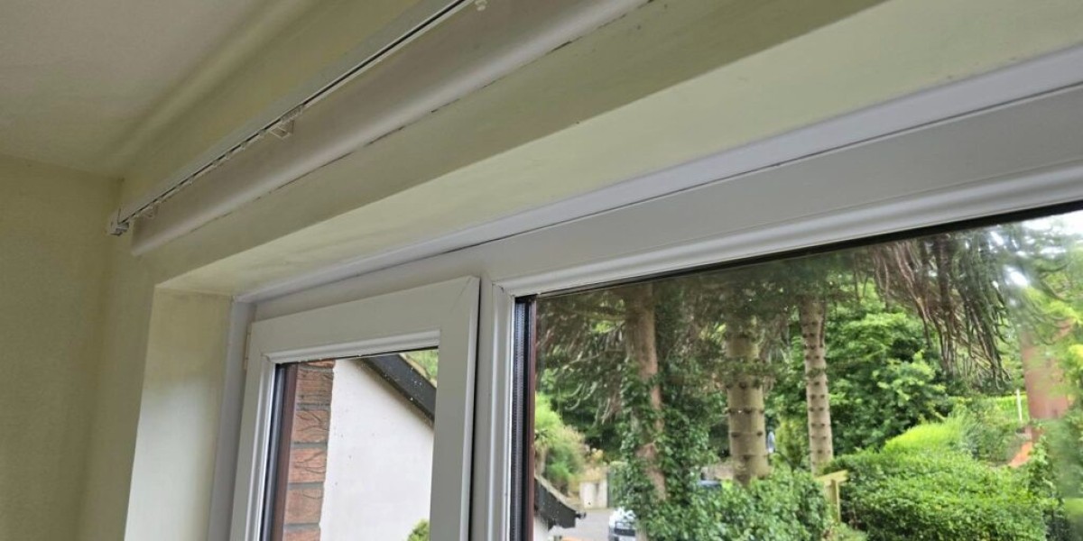 Black Mould Removal Dublin – Protect Your Health with Specialist Services