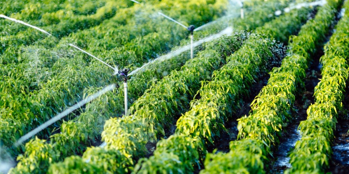 The Role of Agricultural Textiles Market in Enhancing Productivity Across Modern Farming Systems