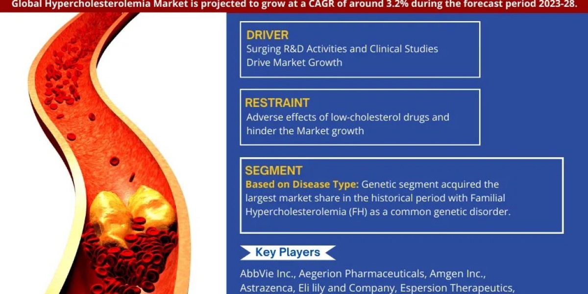 Hypercholesterolemia Market Poised for Strong 3.2% CAGR Through 2028 | Size & Opportunity Insights