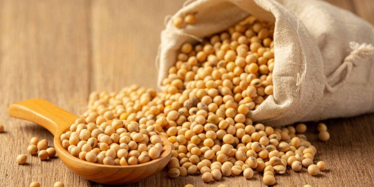 Exploring the Pea Protein Market: Health Trends Fueling Global Growth
