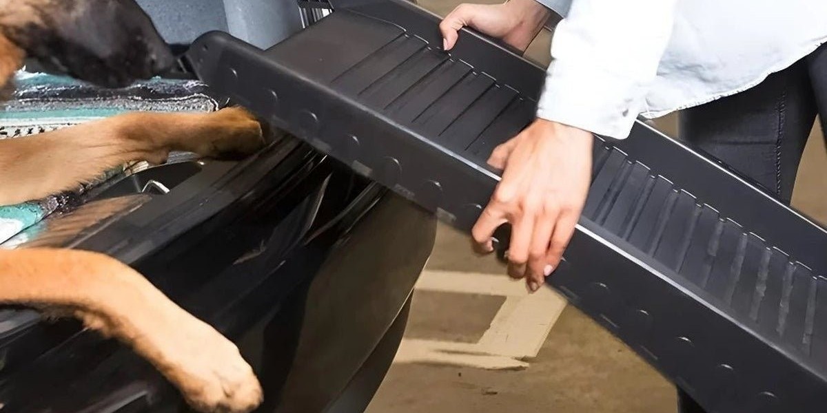 Portable Ramp for Dogs – Help Your Pet Move Freely with chienalafolie