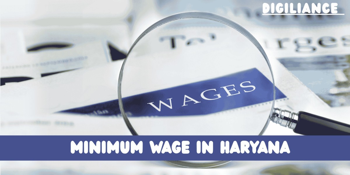 Shocking Facts About Minimum Wage in Haryana – Are You Earning Enough?