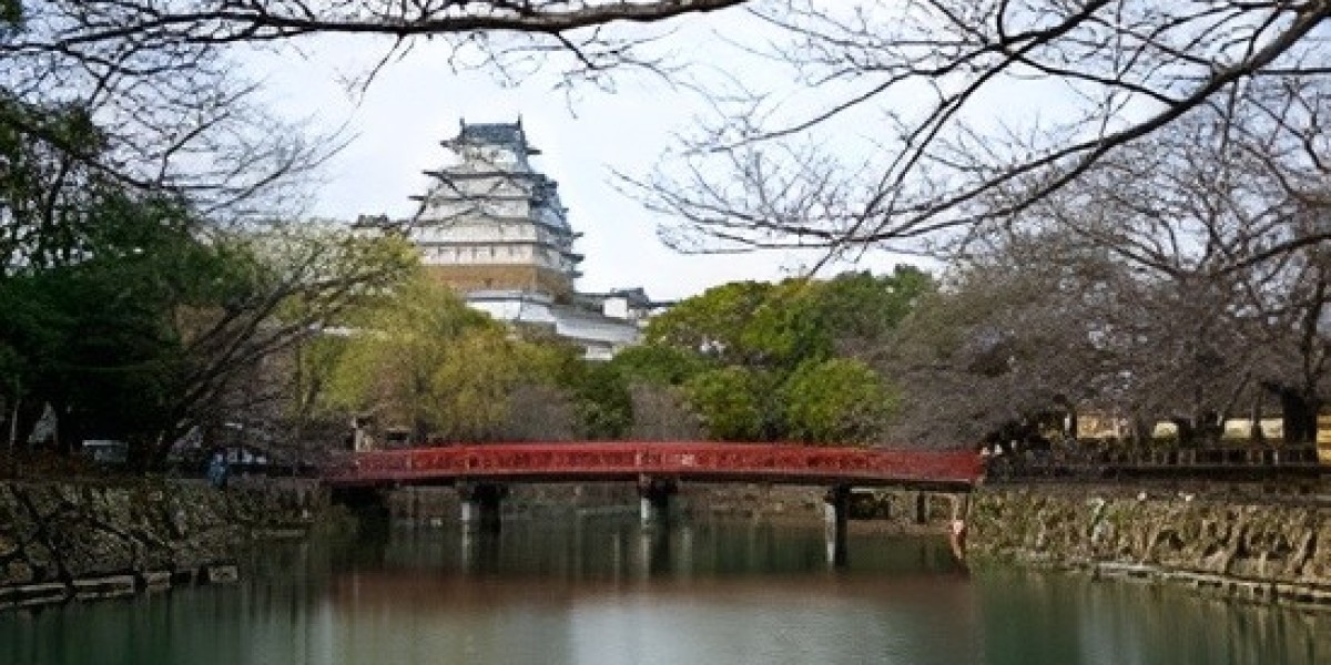 Seasonal Beauty in Japan: Best Time to Visit for Cherry Blossoms or Fall Colors