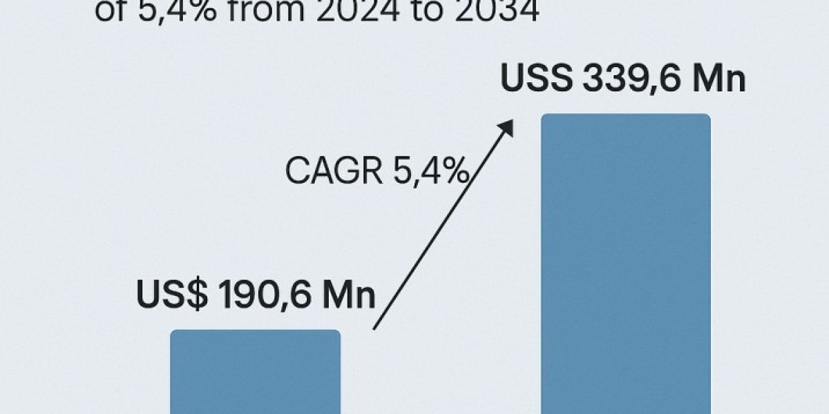 Global Dive Slate Market: Trends, Forecasts, and Opportunities 2025–2030