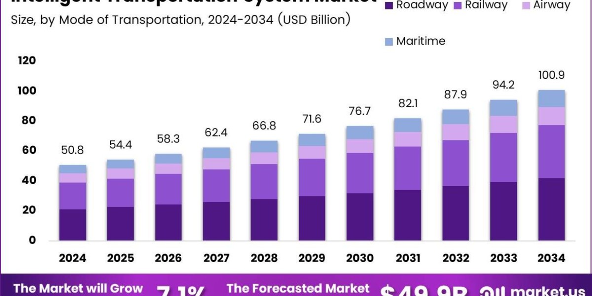 ITS Market Analysis 2025: Growth, Challenges, and Strategic Outlook