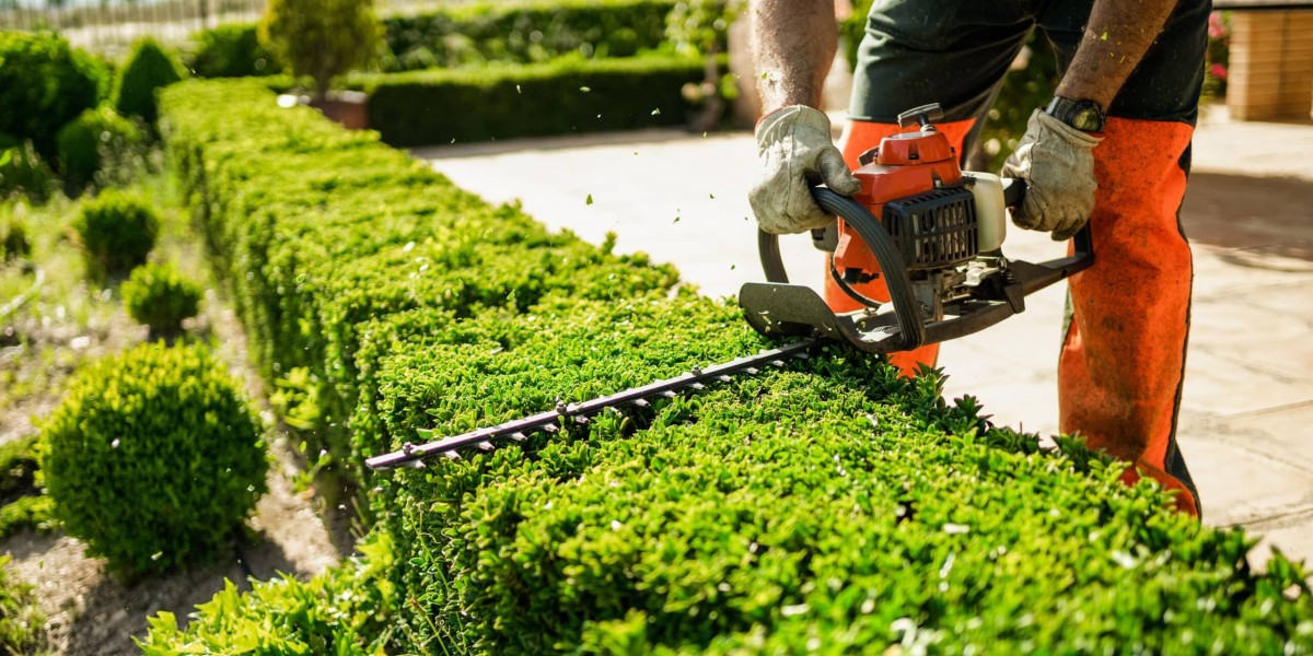 Why Is Regular Hedge Maintenance Important in Washington?