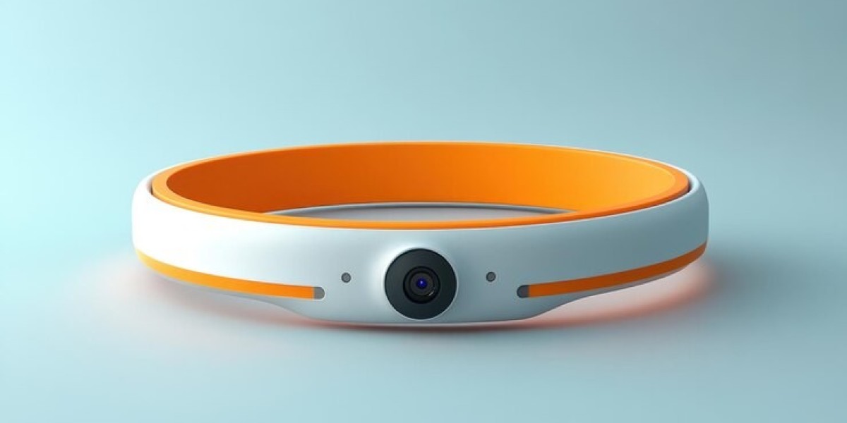 Wearable Camera Market Dynamic Evolution and Growth in Consumer and Enterprise Segments