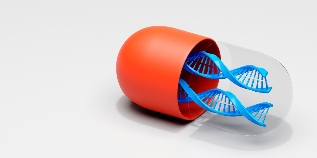 Erythromycin Market Outlook: Key Players, Applications, and Growth Opportunities