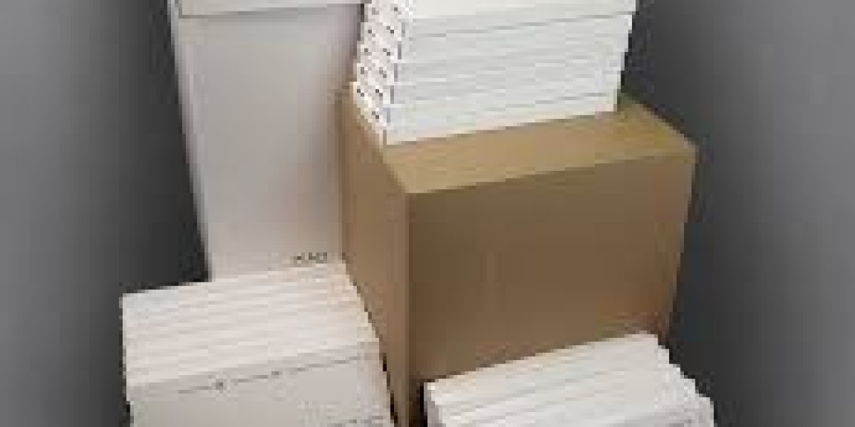 Temperature Controlled Packaging Market Insights: Regulatory Influences on Packaging Standards and Compliance