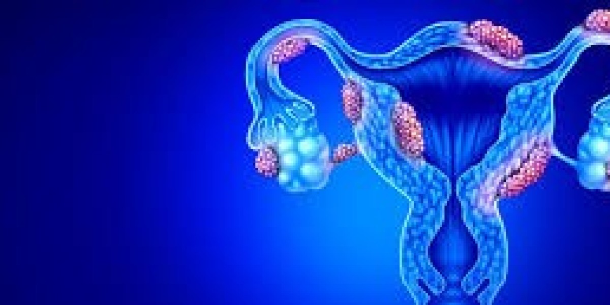 Uterine Fibroid Treatment Market: Evaluating the Role of Hormonal Therapies in Market Dynamics
