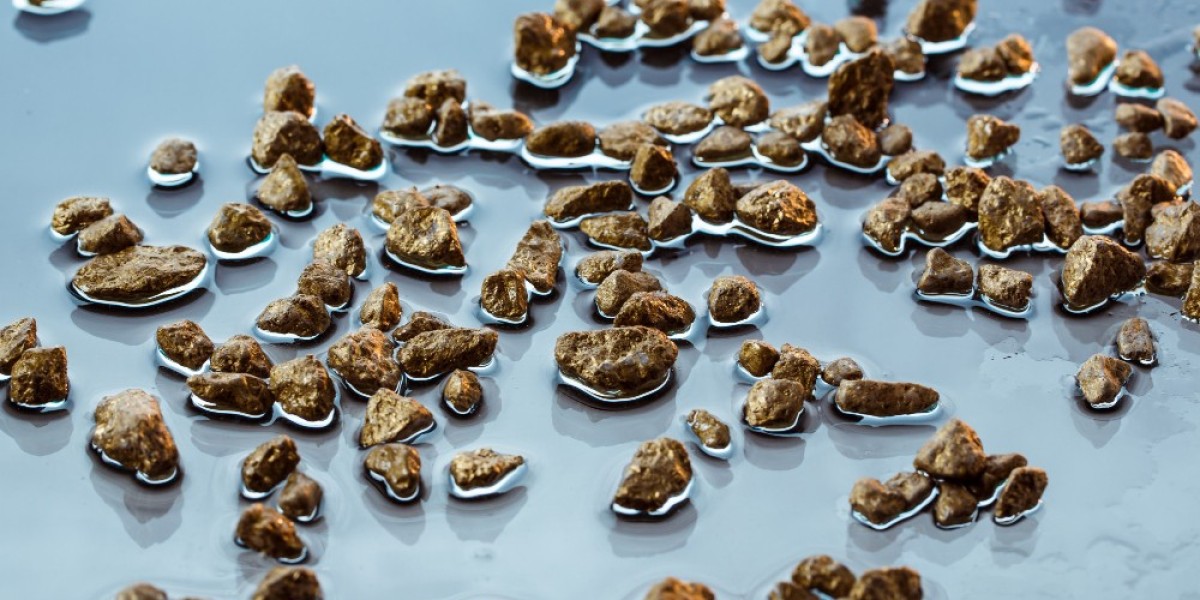 Premium Plant‑Based Fish Feed Market Outlook: Key Players, Applications & Opportunities